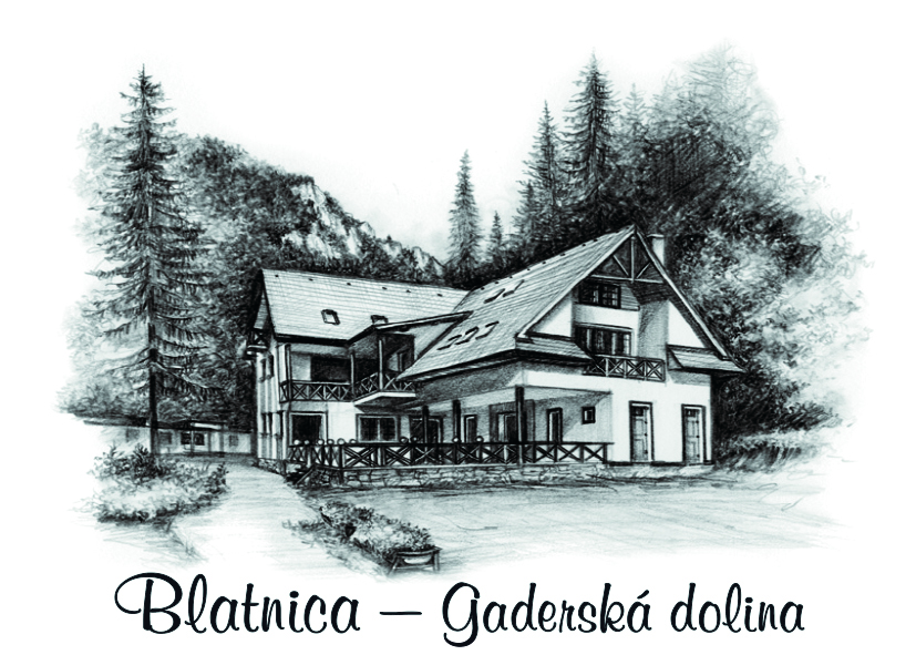 [SK-100] SK-100 / Gaderská dolina, Hotel, ČB
